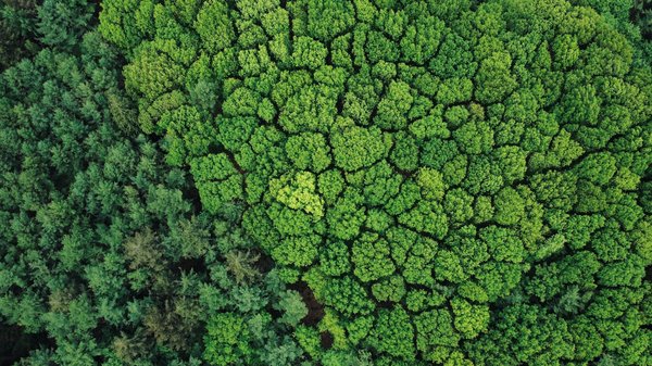 Quels sont les impacts économiques des nouvelles technologies ?